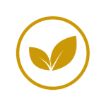 Natural-jaune-bealstone