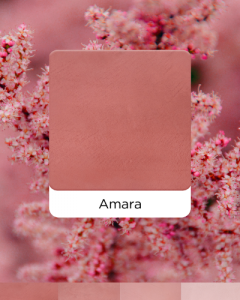 MORTEX AMARA
